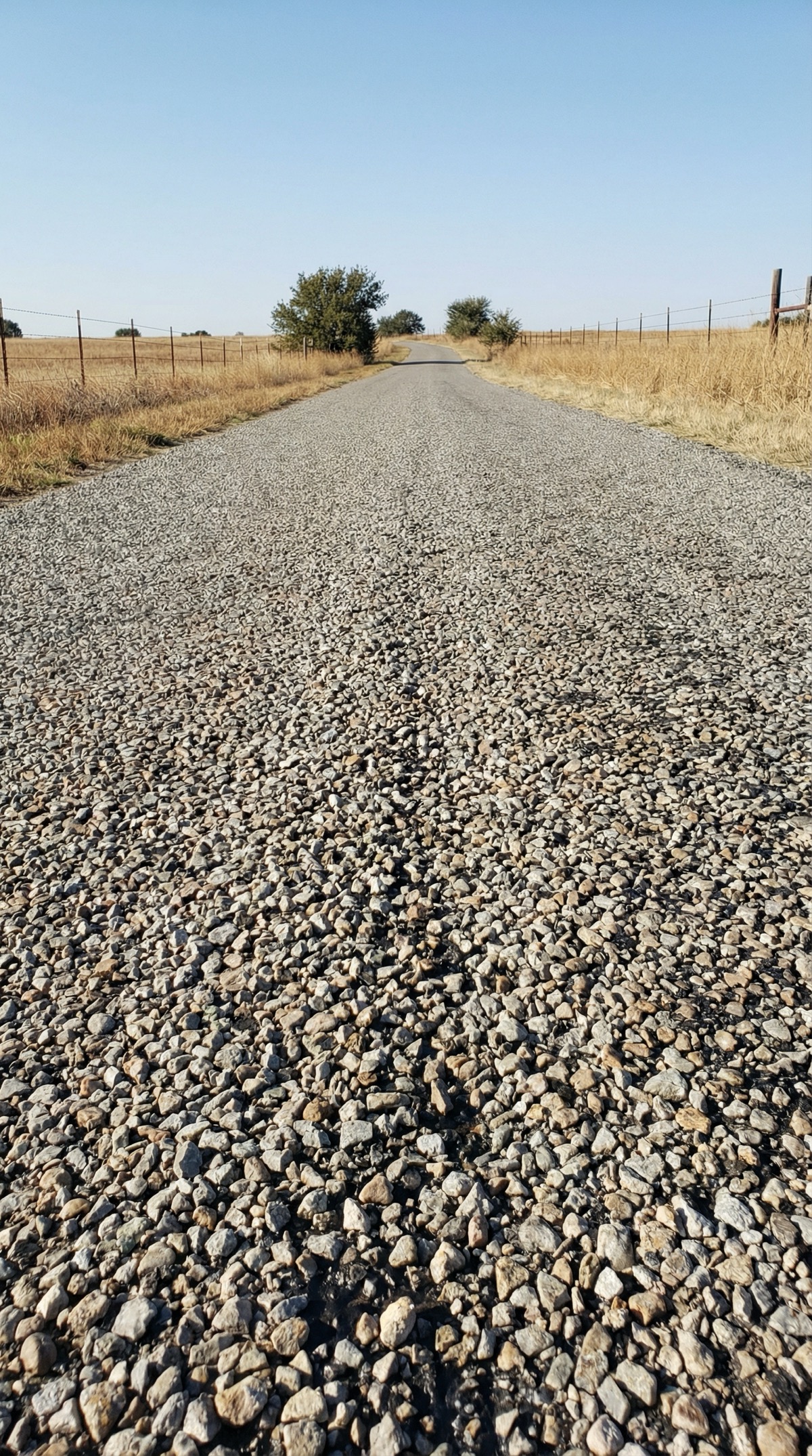 Chip seal rural road stretching toward the horizon under a clear sky